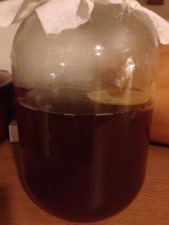 Kombucha