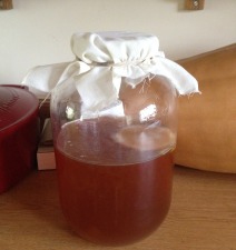 Kombucha Update